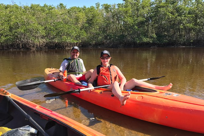 Manatees and Mangrove Tunnels Small Group Kayak Tour - Guides and instruction: what actually improves your odds