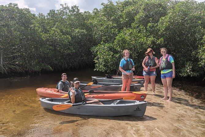 Manatees and Mangrove Tunnels Small Group Kayak Tour - Price and value: $95 for equipment, instruction, and a small-group paddle