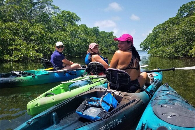 Mangrove Tunnel Kayak Adventure in Key Largo - Why Key Largo mangrove tunnels are worth your time