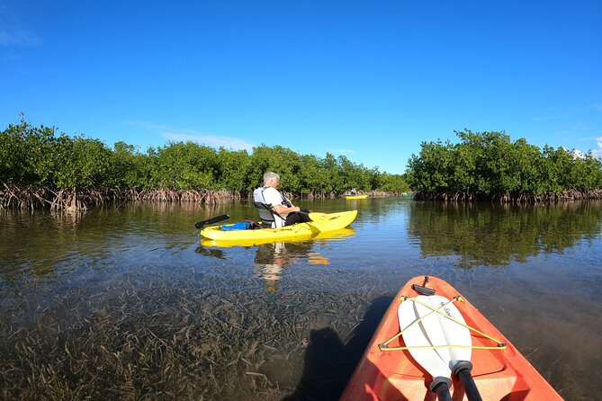 Mangrove Tunnel Kayak Adventure in Key Largo - Meeting point and timing: how the day starts (and why it matters)