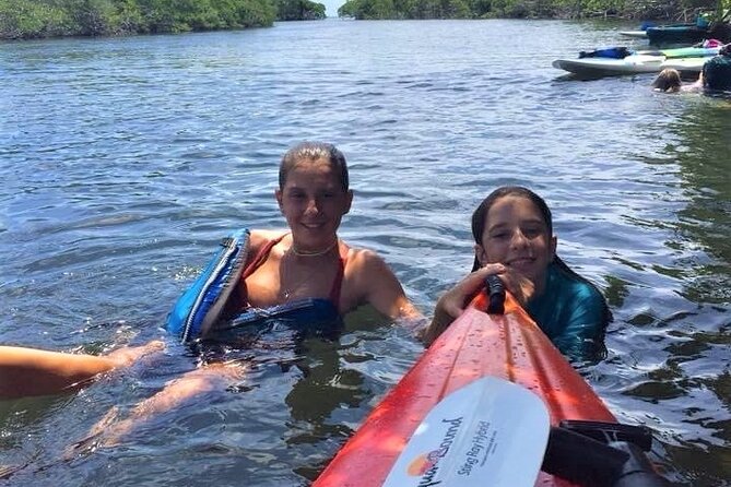 Mangrove Tunnel Kayak Adventure in Key Largo - Wildlife spotting without the stress: how to think about it
