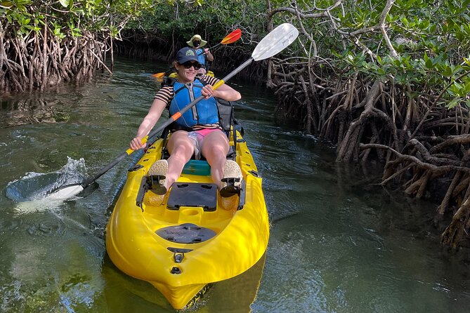 Mangrove Tunnel Kayak Adventure in Key Largo - Snorkeling in clear water: when it’s a good idea and when it isn’t