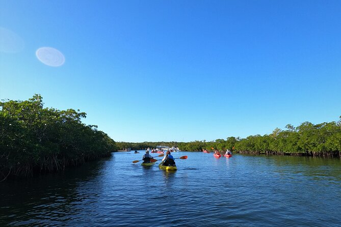 Mangrove Tunnel Kayak Adventure in Key Largo - Kayak comfort and included perks that make the difference