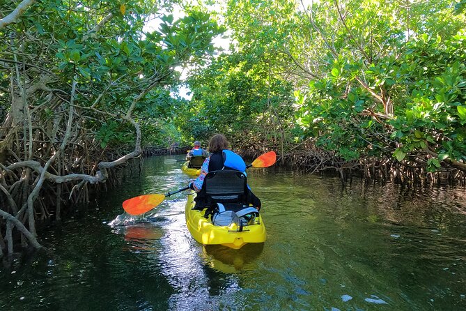 Mangrove Tunnel Kayak Adventure in Key Largo - Price and value: what $68 buys you in real terms