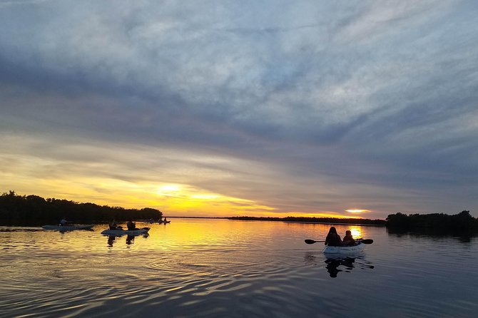 Mangrove Tunnels, Dolphins, Manatee Tour #1 Rated in Cocoa Beach - Mangrove Tunnels in Cocoa Beach: What Makes This Paddling Route Special