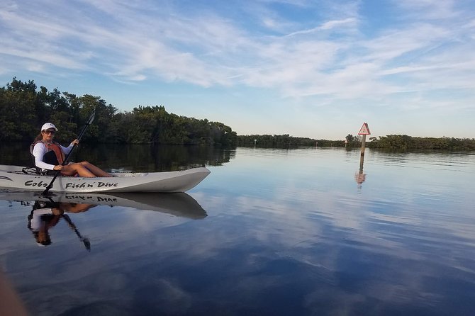 Mangrove Tunnels, Dolphins, Manatee Tour #1 Rated in Cocoa Beach - Guide-Led Ecology: Why Names Like Holly and Erin Keep Coming Up