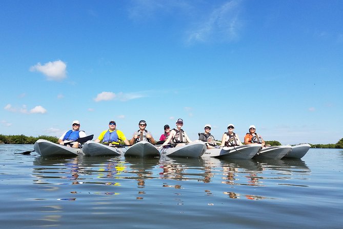 Mangrove Tunnels, Dolphins, Manatee Tour #1 Rated in Cocoa Beach - Your Wildlife Chances: Dolphins and Manatees Aren’t Guaranteed