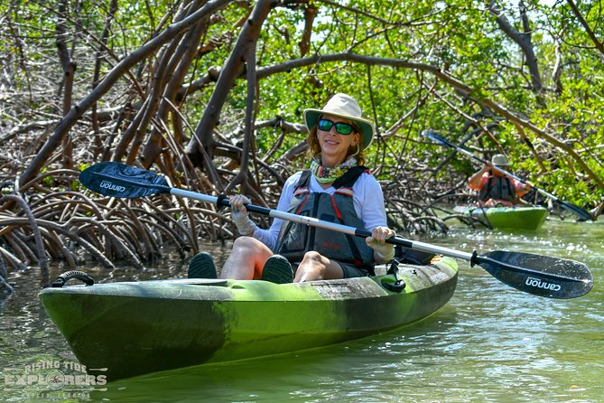 Mangrove Tunnels & Mudflats Kayak Tour - Local Biologist Guides - Price and What You Actually Get for $69.99
