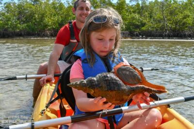 Mangrove Tunnels & Mudflats Kayak Tour - Local Biologist Guides - Meeting Point Morning: Naples Timing, Parking, and Paddling Fitness