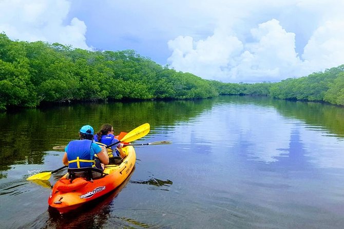 Mangroves and Manatees - Guided Kayak Eco Tour - Tavernier Creek mangroves: what makes this paddle special