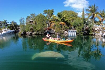 Mangroves and Manatees - Guided Kayak Eco Tour - Getting started at 90773 Old Hwy, Tavernier: how the tour flows