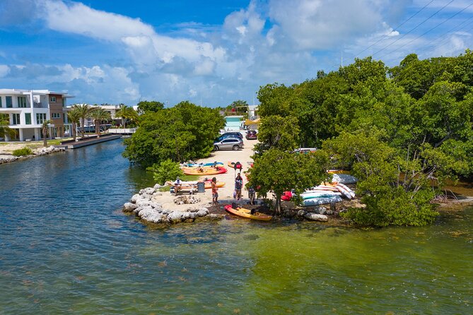 Mangroves and Manatees - Guided Kayak Eco Tour - Value check: is $69 per person fair for a guided mangrove eco tour?