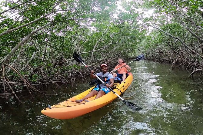 Mangroves and Manatees - Guided Kayak Eco Tour - What to bring and how to stay comfortable in the Keys