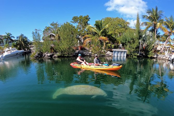 Mangroves and Manatees - Guided Kayak Eco Tour - Getting started at 90773 Old Hwy, Tavernier: how the tour flows
