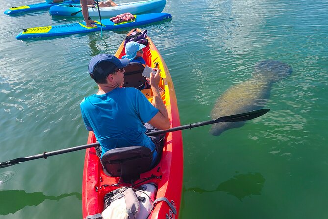 Mangroves, Manatees, and a Hidden Beach: Kayak Tour - Key highlights you can actually count on
