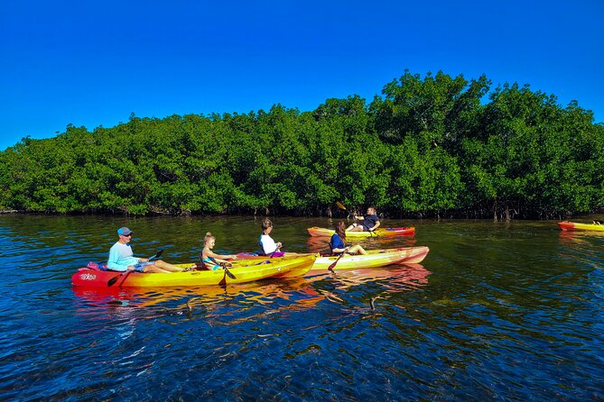 Mangroves, Manatees, and a Hidden Beach: Kayak Tour - Kayak vs double kayak vs SUP: which option fits you