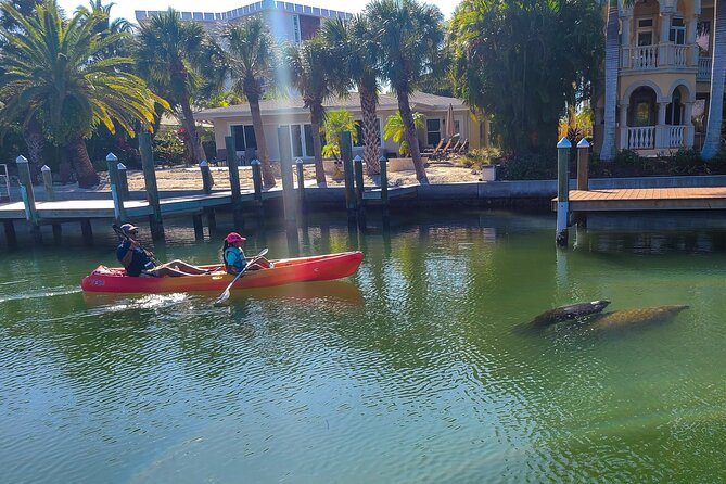 Mangroves, Manatees, and a Hidden Beach: Kayak Tour - Price and value: what $59 includes and why it can be a smart deal