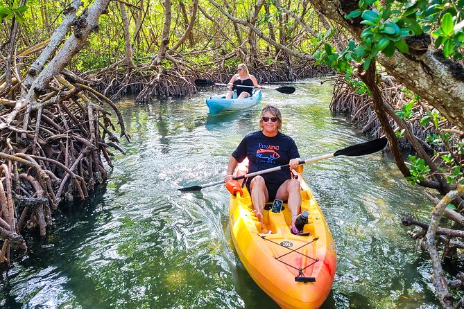 Mangroves, Manatees, and a Hidden Beach: Kayak Tour - First paddle on Sarasota Bay: calm water practice and wildlife scanning