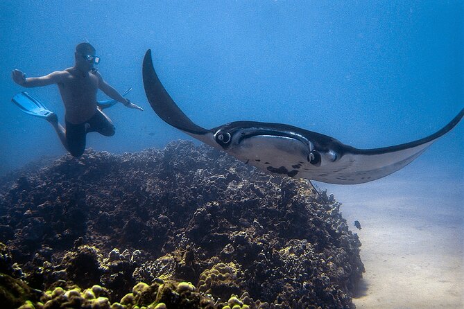 Manta Magic: Small-Group Manta Ray Night Snorkel in Kailua Kona - When to Think Twice: Neck Issues, Choppy Water, and Swim Requirements