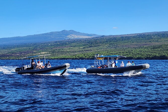 Manta Ray Night Snorkel at Kona, Big Island - In the Water at Night: What the Guides Help You Do