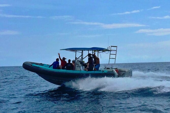 Manta Ray Night Snorkel at Kona, Big Island - Ride-Along vs Full Snorkel: Choose Your Comfort Level
