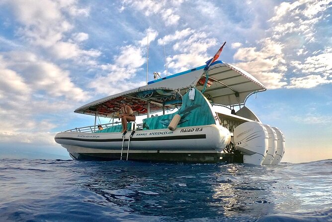 Manta Ray Night Snorkel from Kona — Small Group - Final call: should you book this Kona manta ray night snorkel?