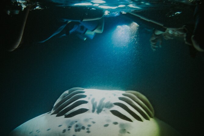 Manta Ray Snorkeling by Night in Kailua-Kona, Hawaii - Getting in and out safely (and not rushing yourself)