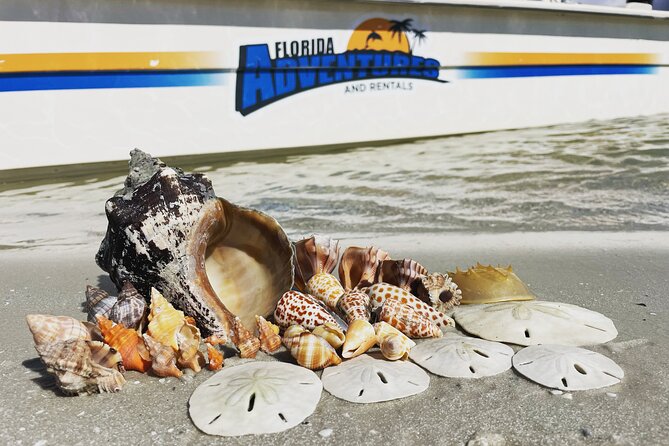 Marco Island Wildlife Sightseeing and Shelling Tour - Goodland Boating Park: Your Starting Point and the Pre-Departure Moment