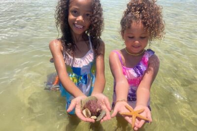 Marco Island Wildlife Sightseeing and Shelling Tour - The Cruise Through Ten Thousand Islands Mangroves (and Why the Guide Matters)