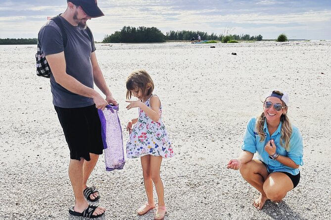Marco Island Wildlife Sightseeing and Shelling Tour - Wildlife Spotting: Dolphins, Manatees, Birds, and the “Be Ready” Rule