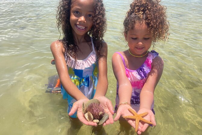 Marco Island Wildlife Sightseeing and Shelling Tour - The Cruise Through Ten Thousand Islands Mangroves (and Why the Guide Matters)