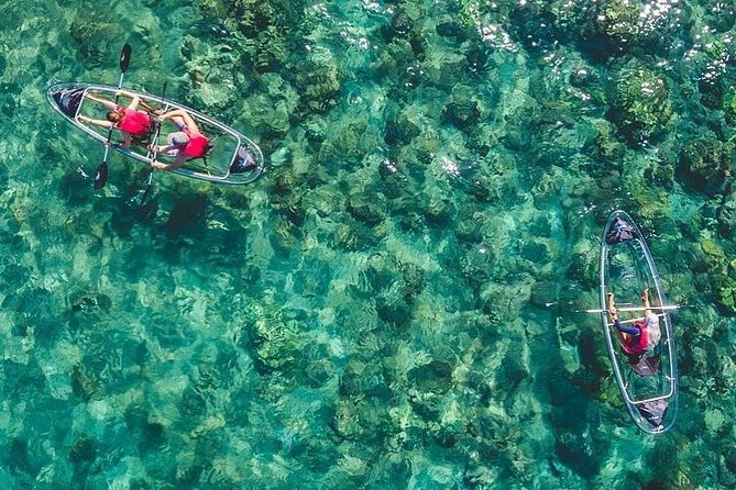 Maui Clear Kayak and Snorkel Tour: Swim with turtles (Makena) - Key details that make this Maui turtle tour work