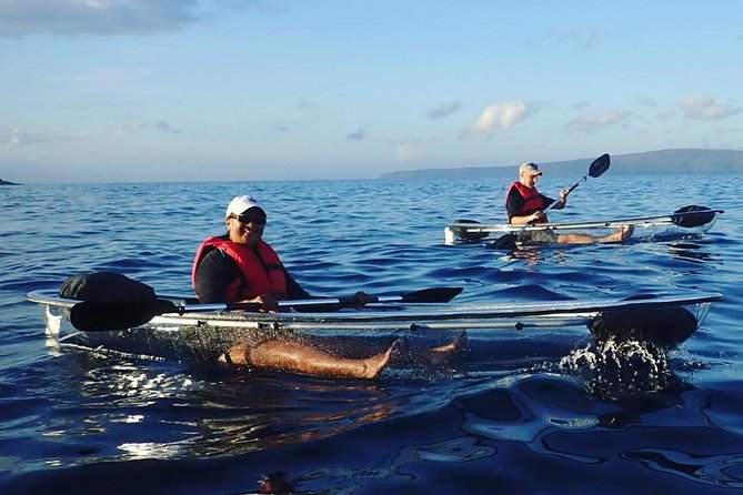 Maui Clear Kayak and Snorkel Tour: Swim with turtles (Makena) - Winter whale chances: how the tour handles big wildlife moments