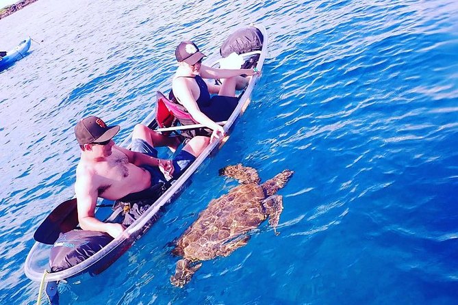 Maui Clear Kayak and Snorkel Tour: Swim with turtles (Makena) - Pricing and value: what $130 buys you on Maui