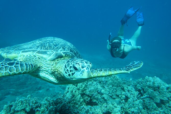 Maui Clear Kayak and Snorkel Tour: Swim with turtles (Makena) - Safety, limits, and the one constraint you should not ignore