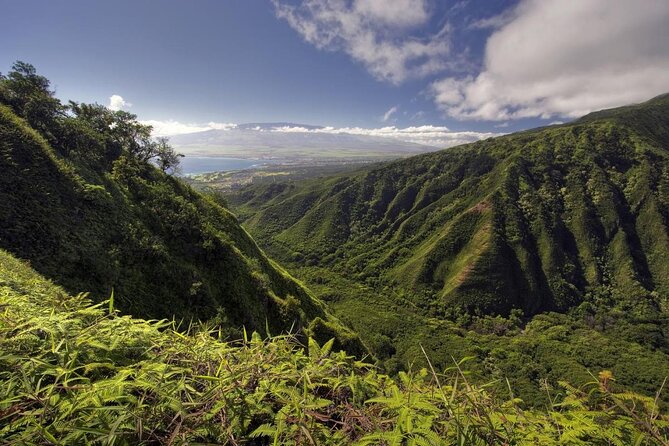 Maui Horseback Adventure at Circle M Ranch With Real Cowboys - Key things to know before you ride