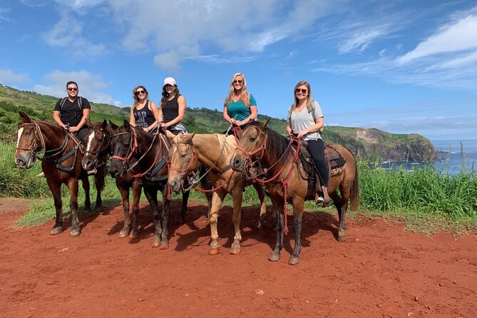 Maui Horseback Adventure at Circle M Ranch With Real Cowboys - How paniolos handle all riding levels (and matching matters)