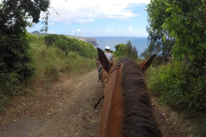 Maui Horseback Adventure at Circle M Ranch With Real Cowboys - Value check: is $185.20 worth it?