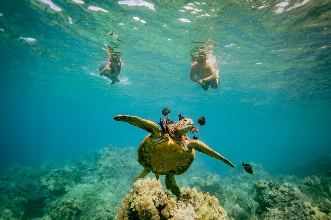 Maui: Molokini Crater and Turtle Town Snorkeling From Kihei - Food and Comfort: Snacks, Light Lunch, and Motion-Sickness Help