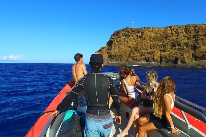 Maui: Molokini Crater and Turtle Town Snorkeling From Kihei - Who This Tour Fits Best (and Who Should Skip It)