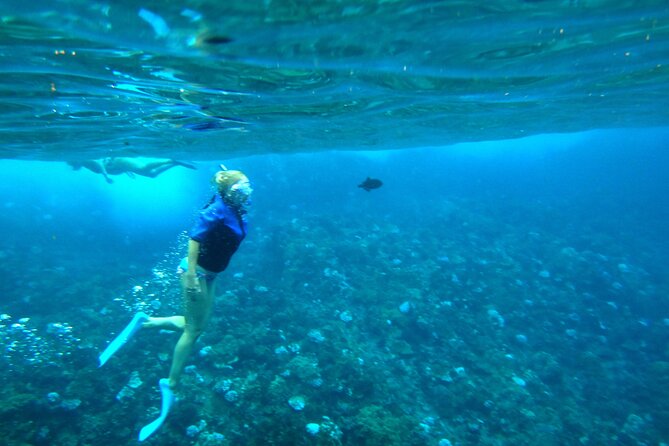 Maui: Molokini & Turtle Town Snorkel & Waterslide Adventure - Cost and Value: Getting Your Money’s Worth at $196.88