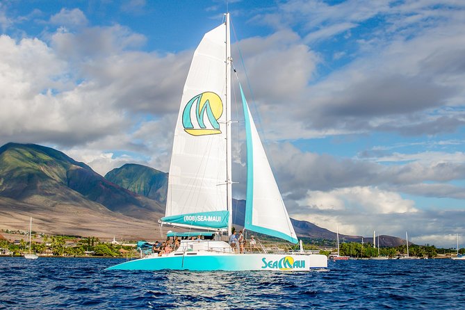 Maui: Original Sunset Cruise with Open Bar from Ka’anapali Beach - Dolphins, Whales, and the Winter Season Advantage