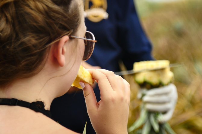 Maui Pineapple Farm Tour in Haliimaile - Tour Time, Group Size, And The Mini Coach Ride
