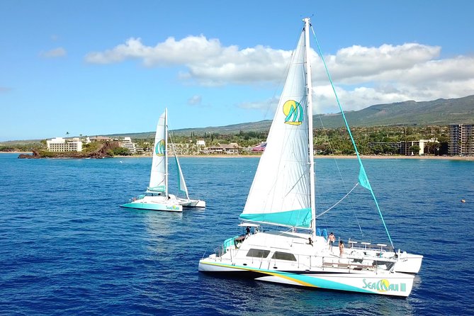 Maui Premium Sunset Dinner Cruise from Ka’anapali Beach - Chef Jai’s Buffet Dinner and the Full Open Bar Value