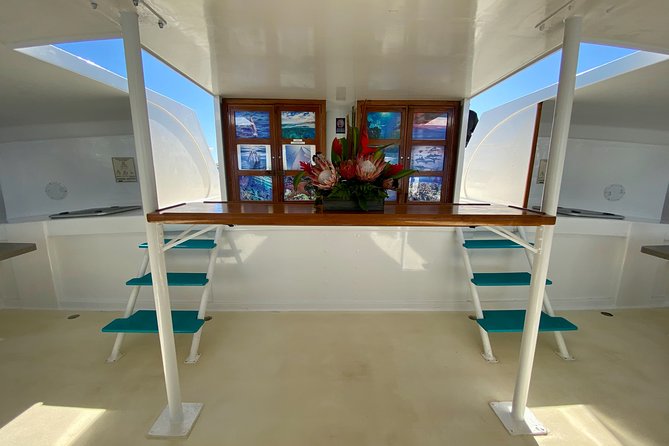 Maui Premium Sunset Dinner Cruise from Ka’anapali Beach - Whale Watching Season (Dec 15–Apr 15): How to Make It Worth It