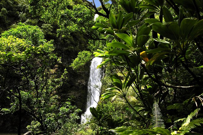 Maui: Road to Hana Luxury Limo-Van Tour with Helicopter Flight - Practical tips for a smoother day on the Road to Hana and in the air