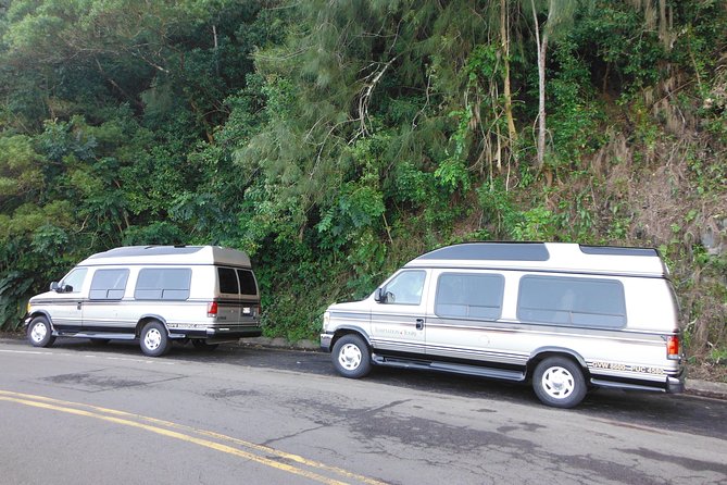 Maui: Road to Hana Luxury Limo-Van Tour with Helicopter Flight - Beachside lunch that actually feels like lunch