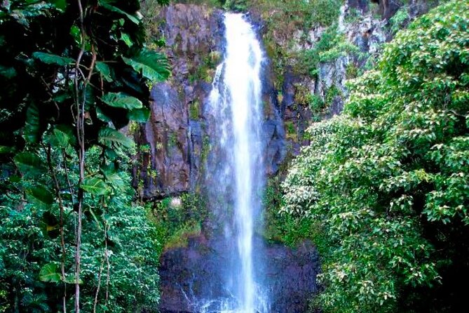 Maui: Small Group Road to Hāna Tour 6 to 8 passengers - The Hana Bay and Black-Sand Coast Stops: Where the Road Pays Off