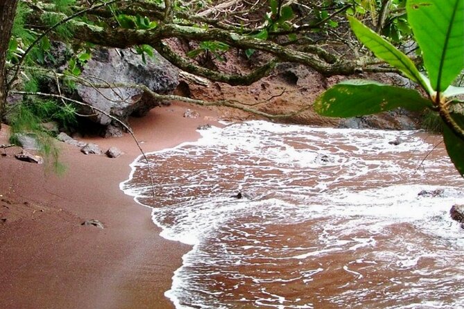 Maui: Small Group Road to Hāna Tour 6 to 8 passengers - Hana Town Break: Restrooms, Short Shopping, and Reality Time
