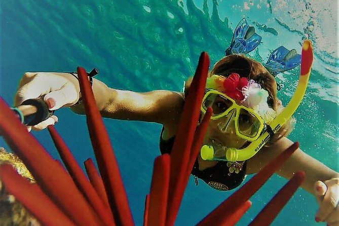 Maui Snorkel Adventure: Molokini Crater and Turtle Cove - Reef Explorer Super Raft: Fast, Smooth, and Built for Real Snorkeling